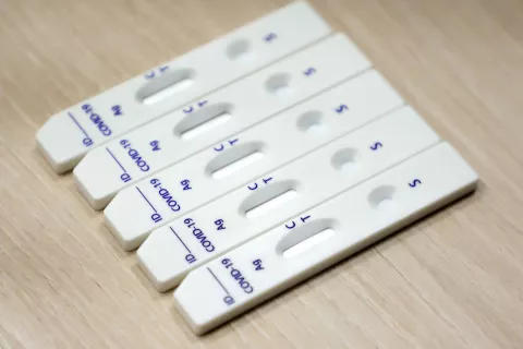 korona epidemija bolezen / Foto: Tina Dokl