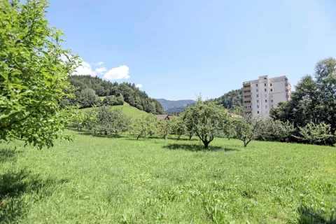 Načrtovani dom starejših želijo prestaviti na sosednje zemljišče na drugi strani vodotoka Dašnica. / Foto: Tina Dokl / Foto: 