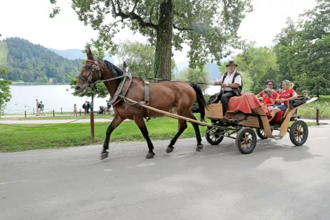 Slovenski gosti turizma na Bledu, kjer 95 odstotkov nočitev ustvarijo tujci, ne morejo rešiti, lahko pa pomagajo k zmanjševanju nastalih težav, pravijo v Turizmu Bled. / Foto: Tina Dokl (arhiv) / Foto: 