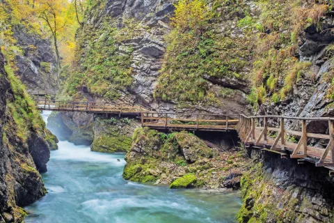 Soteska Vintgar bo svoja vrata spet odprla v petek. / Foto: Miro Zalokar / Foto: 