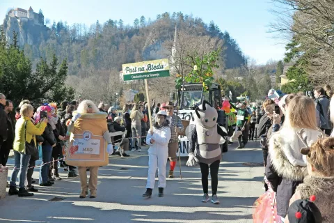 Čebelarska zveza Slovenije je s seboj pripeljala tudi avtohtono kranjsko sivko. / Foto: 