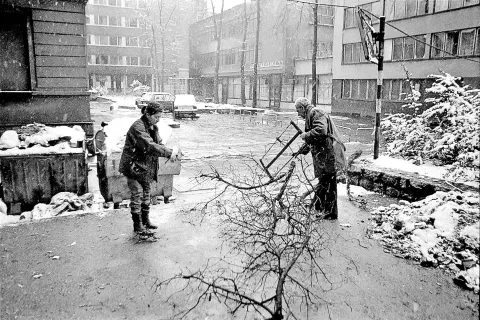Slika iz Sarajeva, mesta, v katerem je umirala Jugoslavija: pozimi 1992 so morali meščani sekati drevje, da so se malo pogreli. / Foto: Wikipedija / Foto: 