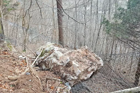 Skala se je ujela v zadnjo zaščitno mrežo v gozdu in jo tudi delno poškodovala. / Foto: arhiv Cirile Tušek / Foto: 