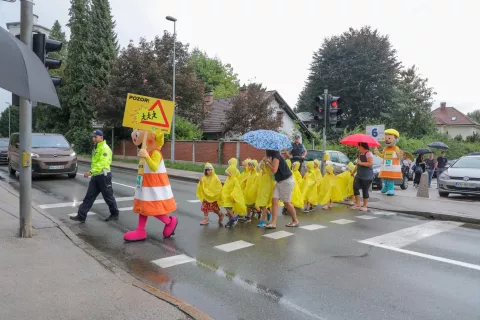 varnost v prometu otroci na cesti promet vrtec Janina Kranj / Foto: Tina Dokl