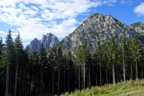 Izpred neoskrbovanega zavetišča Zouf di Fau se odpre lep pogled na Monte Flop, spredaj, desno zadaj je Monte Flop/Cima ovest, levo pa Creta Grauzaria. / Foto: Foto Jelena Justin