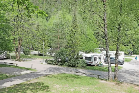 Kamping Bled je bil letos v sklopu glasovanja, ki ga izvaja nizozemski ACSI, ocenjen kot najboljši kamp v Sloveniji. / Foto: Tina Dokl